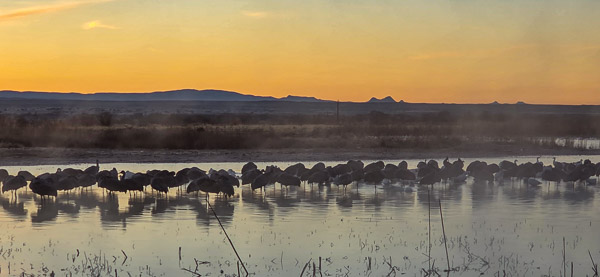 Bernardo Wildlife Area, New Mexico